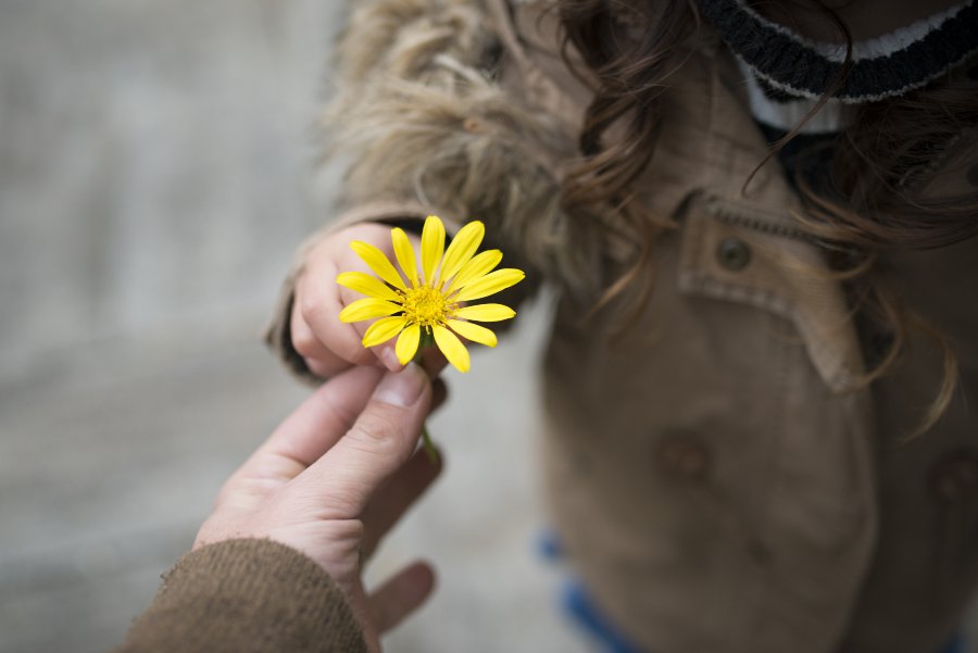 Gratitude Your secret weapon in difficult times